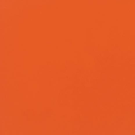 Orange Burst