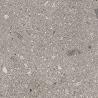 Assemble Paver