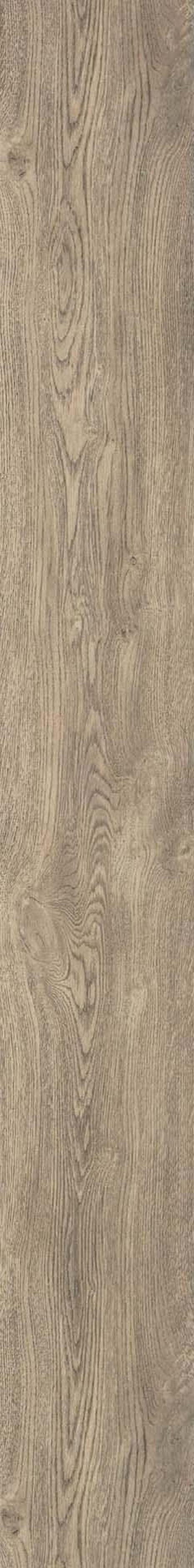Sonoma Oak