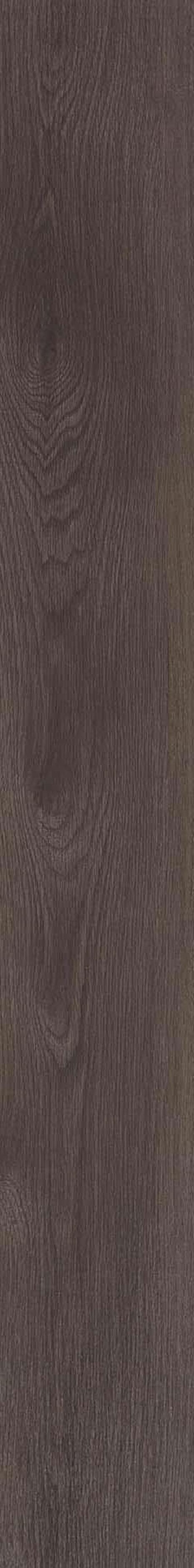 Black Walnut