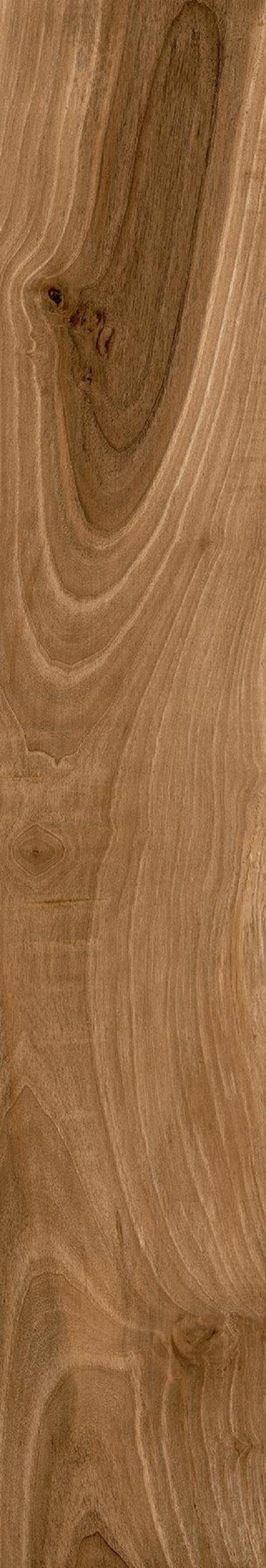 Teak