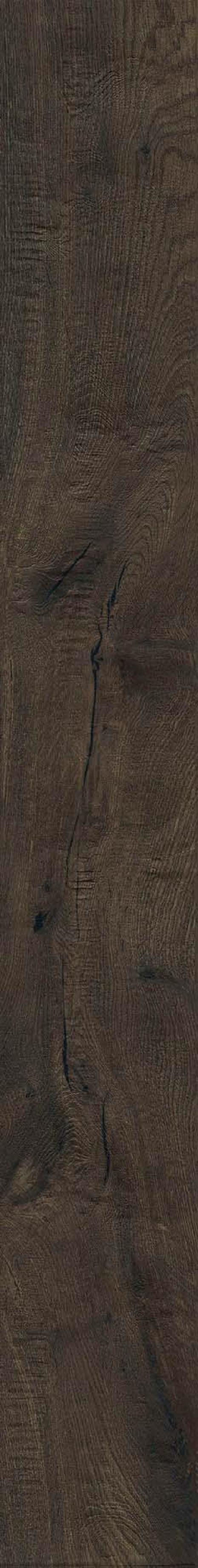 Quercia