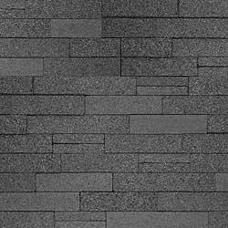 Absolute Black Ledger