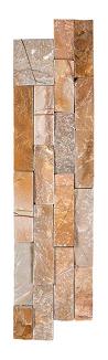 Desert Gold Ledger