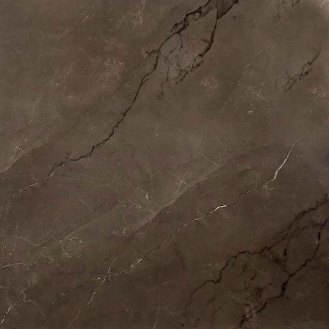 Astonia Grey